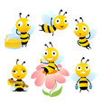 cartoon bees funny of characters vector image vector image