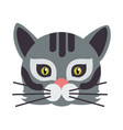 cat animal carnival mask wild or home feline vector image vector image