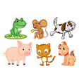 different kinds of land animals vector image
