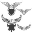 eagle with shield isolated on white background vector image vector image