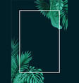tropical forest with square frame on black vector image