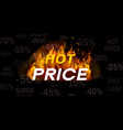 hot sale offer vector image vector image