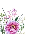 hand drawn watercolor flowers vector image