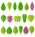 leaves icon set 1 vector image