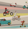 funny dogs driving vehicles vector image vector image
