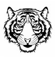 tiger head mascot vector image
