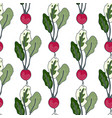 vintage radish seamless pattern radish vector image