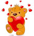 bear with heart vector image
