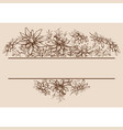 edelweiss hand drawn borders and decorations vector image vector image