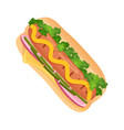 hotdog fast food isolated flat vector image
