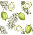 seamless pattern with hand drawn coconuts and palm vector image vector image