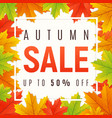 autumn sale promotion banner poster card vector image