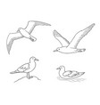 seagulls in outlines vector image vector image