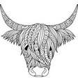 highland cow vector image