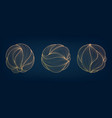 set of abstract golden luxury circles vector image