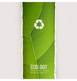 ecology abstract composition with alphabet vector image vector image