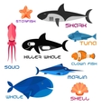 cartoon marine animals in flat style vector image