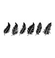 different black fluffy feather silhouette vector image