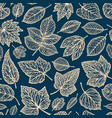 floral pattern decorative leaves concept vector image
