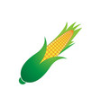 agriculture corn icon design vector image vector image
