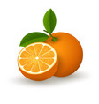 realistic orange fruit vector image vector image
