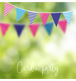 birthday garden party or brazilian june vector image