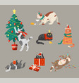 cats celebrating winter holiday vector image vector image