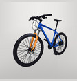 bicycle on grey vector image vector image