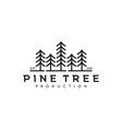 vintage line art pine spruce tree logo design vector image vector image