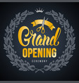 advertisement grand opening vector image vector image