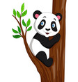 cartoon panda climbing a tree vector image