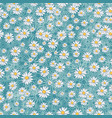 beautiful seamless simple pattern with daisy vector image vector image