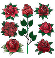 vintage engraving roses old school tattoo symbols vector image