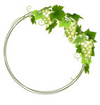 white grapes wreath vector image