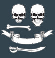 pirate flag toolkitxa vector image