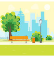 cartoon urban park with bench vector image