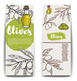 set of olive oil flyers templates vector image