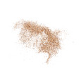 coffee color grain texture vector image