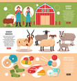 sheep breeding flat banners vector image