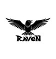 raven bird icon vector image vector image