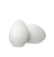 white realistic eggs vector image