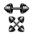 fitness dumbbells isolated on white background vector image vector image