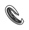 vintage bell pepper vector image