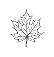 leaf icon isolated vector image