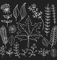 hand drawn doodle leaves set vector image