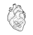 human heart patch sketch vector image