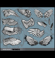 set of wings vector image