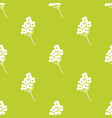 hand drawn floral seamless pattern vector image vector image