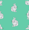 seamless pattern of drawn white domestic rabbit vector image