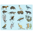 big set of australian and new zealand symbols vector image vector image